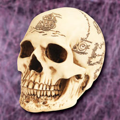 Treasure Map Skull